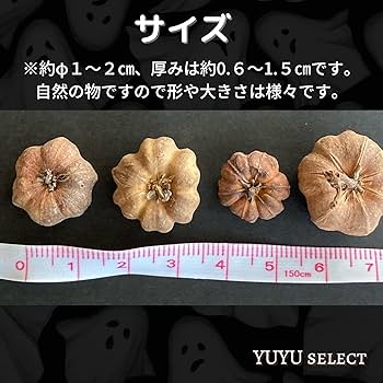 Amazon｜プッカポッド ミニカボチャ ハロウィン リース 木の実